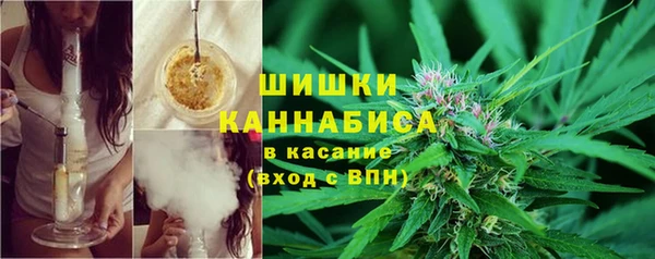 2c-b Болотное